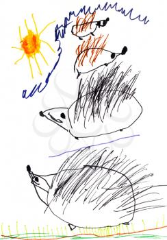 childs drawing - hedgehog family on green grass under sun