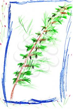 childs drawing - green spruce branch