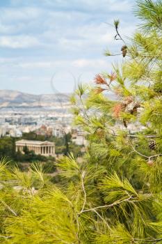 branch of pine and view on Temple of Hephaestus, Athens, Greek
