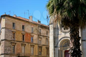 old houses and palm in Nimes, France