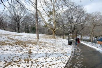 Central park in New-York in winter