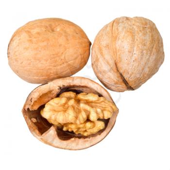 few walnuts close up isolated on white background