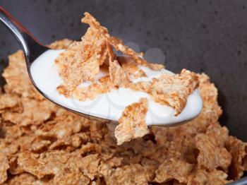 spoon with yogurt and corn flakes close up