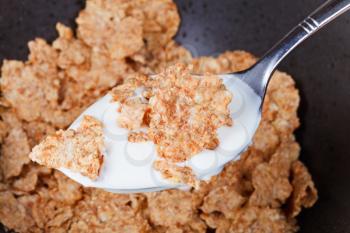 yogurt and flakes in spoon close up