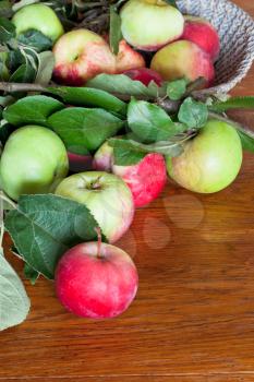 green leaves and red apples on wooden table