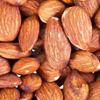 background from many almond nuts close up