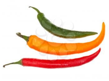 three hot peppers isolated on white background
