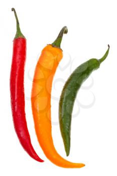 pods of different hot peppers isolated on white background