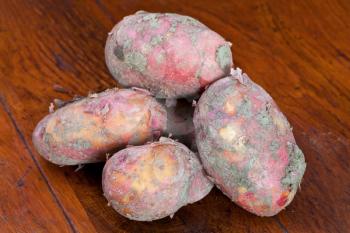 few new raw pink potatoes on wooden table