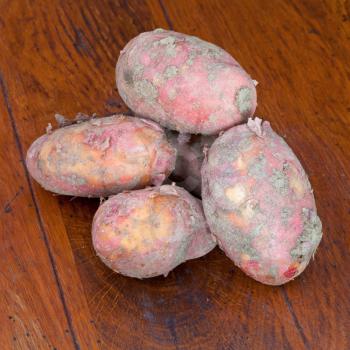 several new raw pink potatoes on wooden table