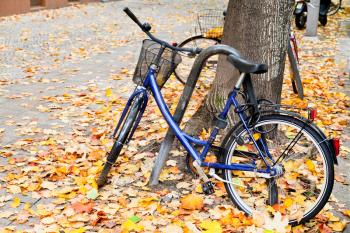 bicycle parked on street with autumn leaves in Berlin
