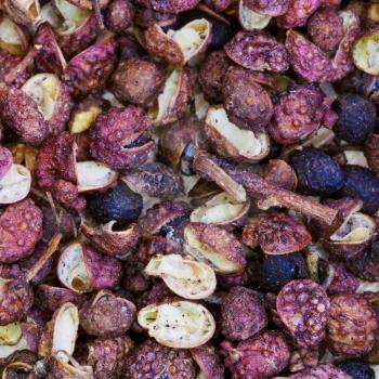 background from dried seeds of Sichuan pepper close up