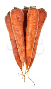 several fresh orange carrots isolated on white background