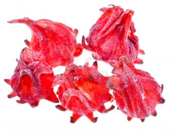 Dried Hibiscus Flowers fruits isolated on white background