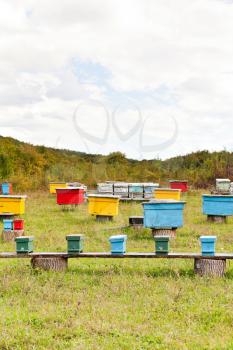 apiary with multicolored wooden beehives at clearing in caucasus mountain