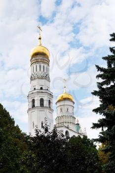 view of Ivan the Great Bell Tower and green tree in Moscow Kremlin