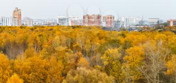 city panoramic view with autumn urban park