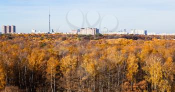 Moscow panorama with TV tower, houses and autumn trees