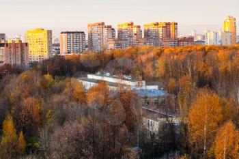 above view of urban residential district in pink autumn sunset