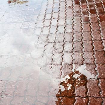 rain puddle on road tile of the town square