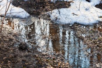 puddle from melting snow in forest in early spring