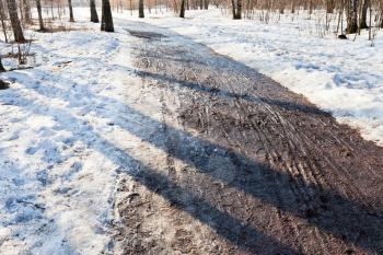 frozen dirt road in early spring forest