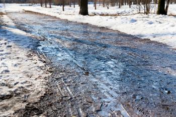 slippery wet country road in early spring forest