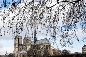 tree branch and Notre-Dame de Paris in cloudy day