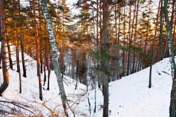 snowy ravine in winter forest at yellow sunset