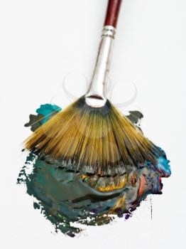 atristic fan paintbrush blends multicolored watercolor paints close up