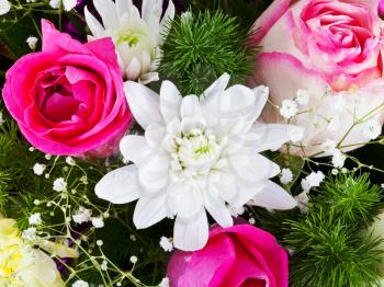white chrysanth and pink roses in flower bouquet