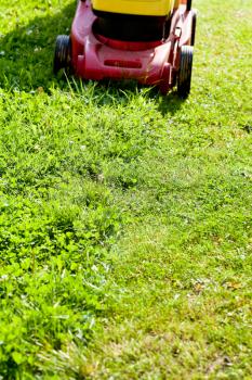 lawn mower mows grass on green lawn