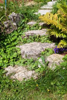 Decorative old stone steps in green garden in summer day