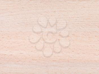 beech wood furniture panel close up background