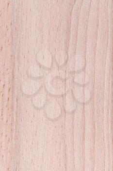 beech wood furniture plank close up background