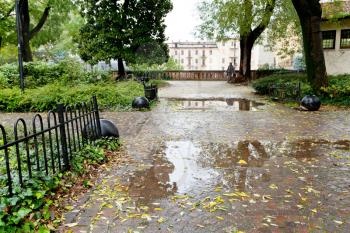 autumn park with rainy puddles in Padua, Italy