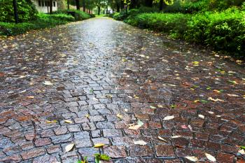 wet cobble stone path in parco dell arena, Padua in autumn day