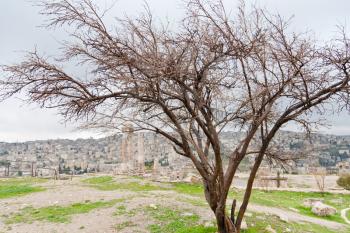Temple of Hercules in antique citadel in Amman, Jordan
