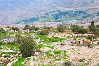 wilderness stone land of palestine, Jordan