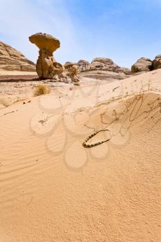 Mushroom rock and arabic bead in Wadi Rum desert, Jordan