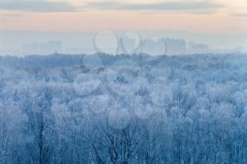urban scenery of blue sunrise in very cold winter morning, in Moscow, Russia