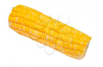 boiled corn on the cob isolated on white