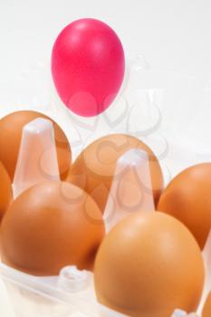 one separate pink hen's egg against several brown eggs