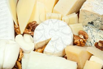 assortment of sliced cheeses and walnuts on plate close up