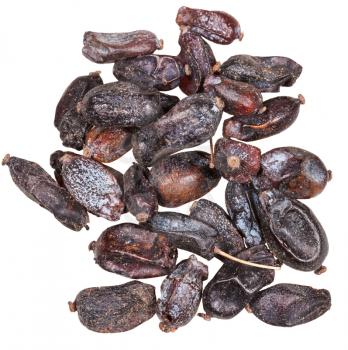 dried black berberis (Berberis sphaerocarpa) fruits close up isolated on white background