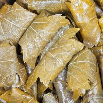 Caucasus meal - dolma from pickled vine leaves and mince close up