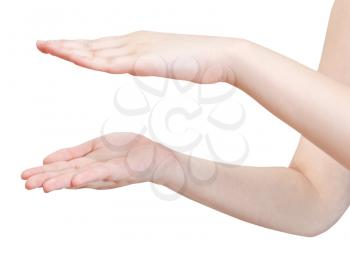 showing size by two palm - hand gesture isolated on white background