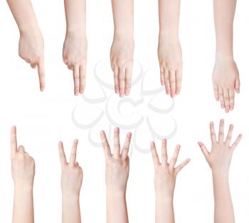 set of counting hand gesture isolated on white background
