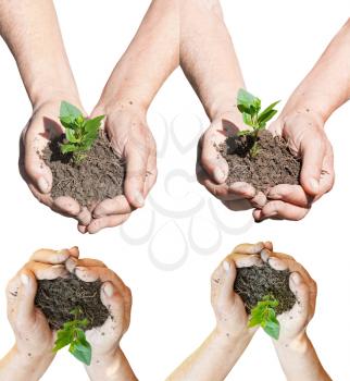 set of peasant hands with soil and green sprout isolated on white background