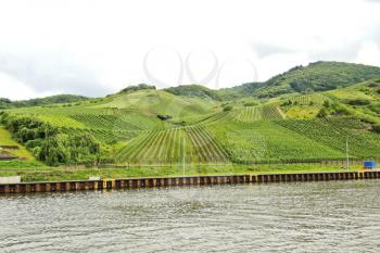waterfront of Moselle river and vineyards on green hills, Germany